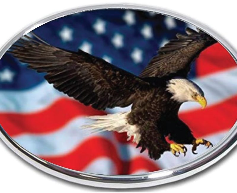 American Eagle Soaring Hitch Cover